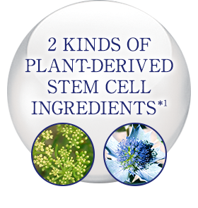 2 KINDS OF PLANT-DERIVED STEM CELL INGREDIENTS*1