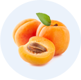 Apricot