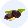 Jojoba