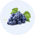 Grape Fruit Stem Cell Extract*5