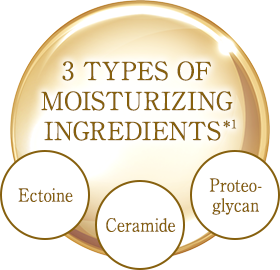 3 TYPES OF MOISTURIZING INGREDIENTS*1