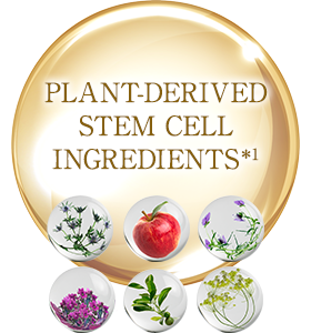 PLANT-DERIVED STEM CELL INGREDIENTS*1