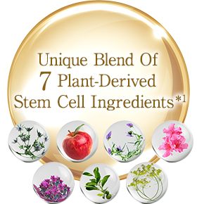 Unique Blend Of 7 Plant-Derived Stem Cell Ingredients*1
