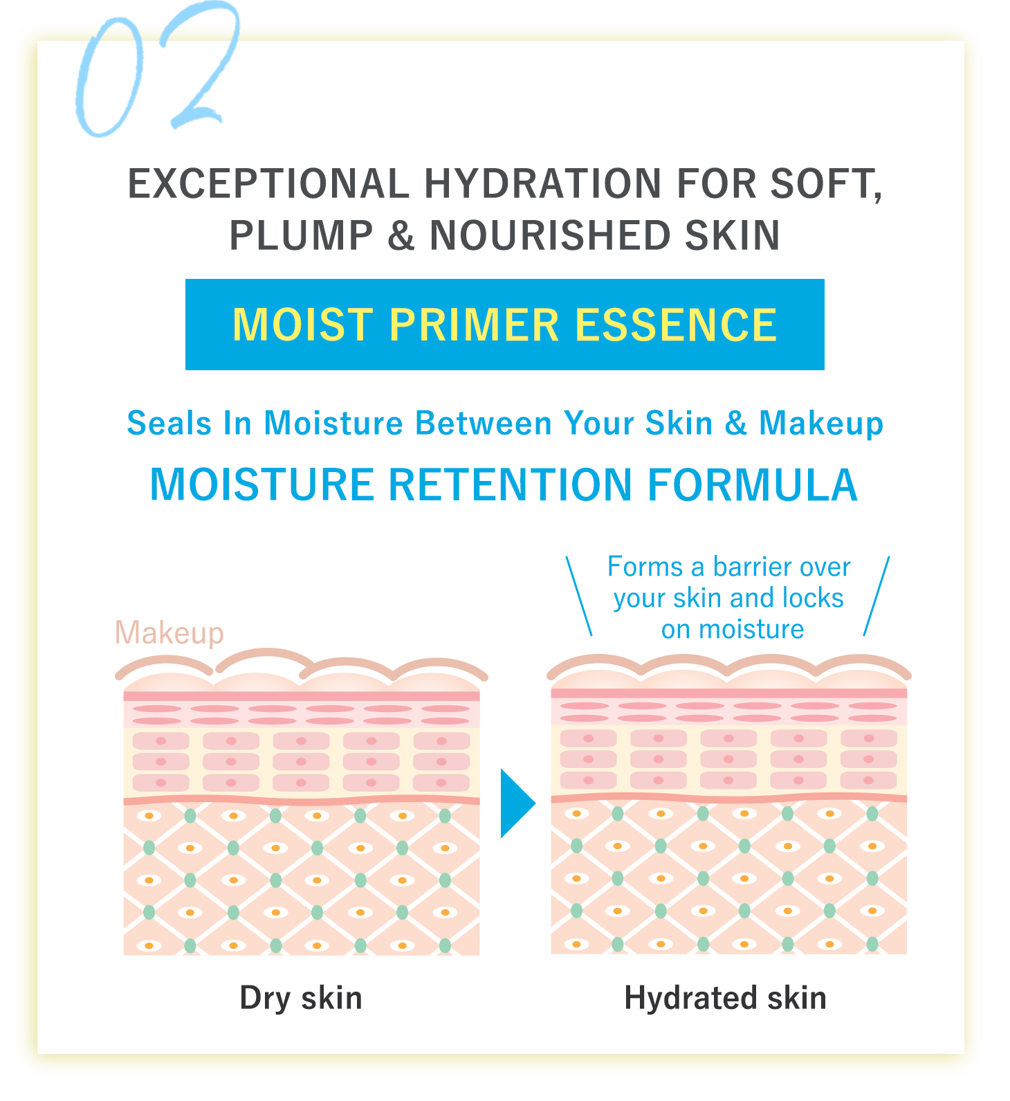 Exceptional Hydration For Soft, Plump & Nourished Skin MOIST PRIMER ESSENCE