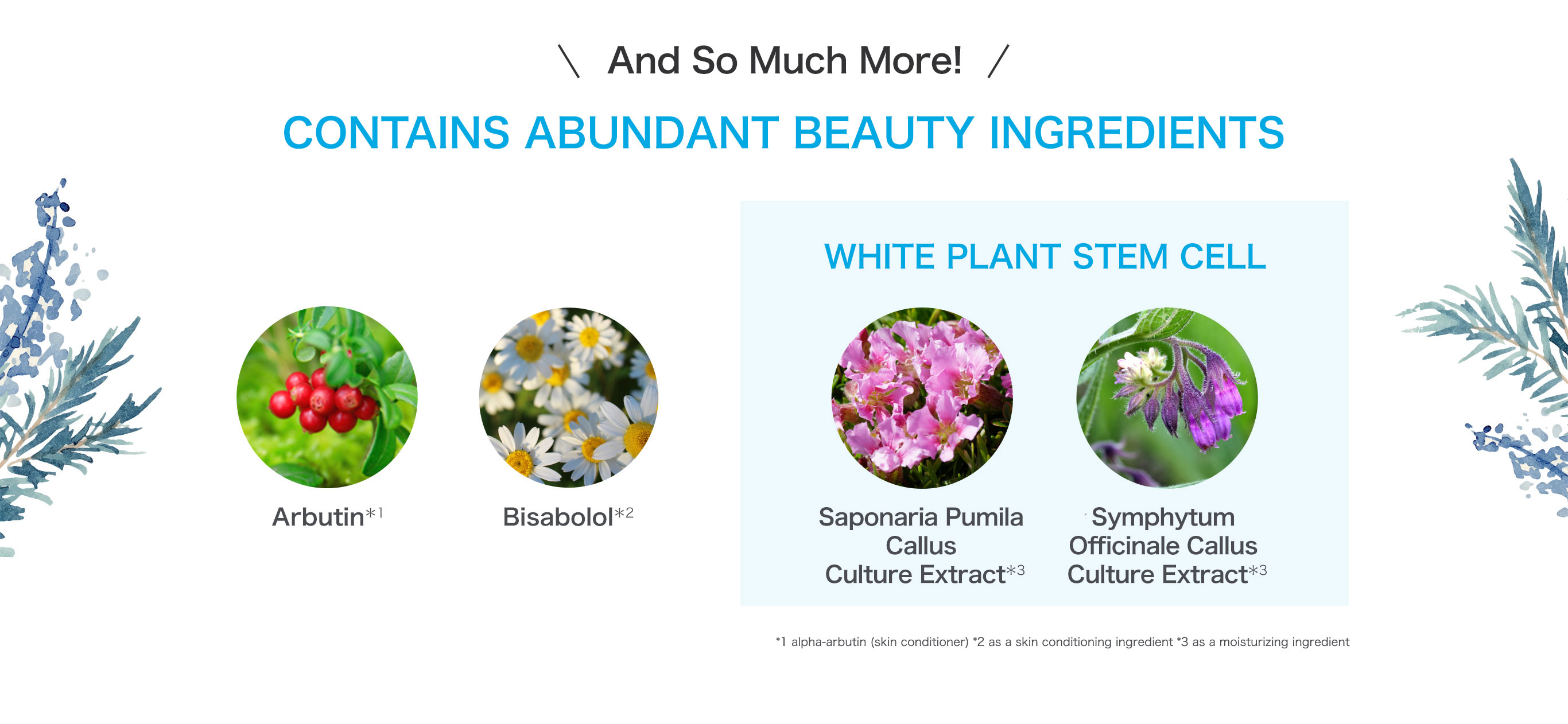 And So Much More! CONTAINS ABUNDANT BEAUTY INGREDIENTS