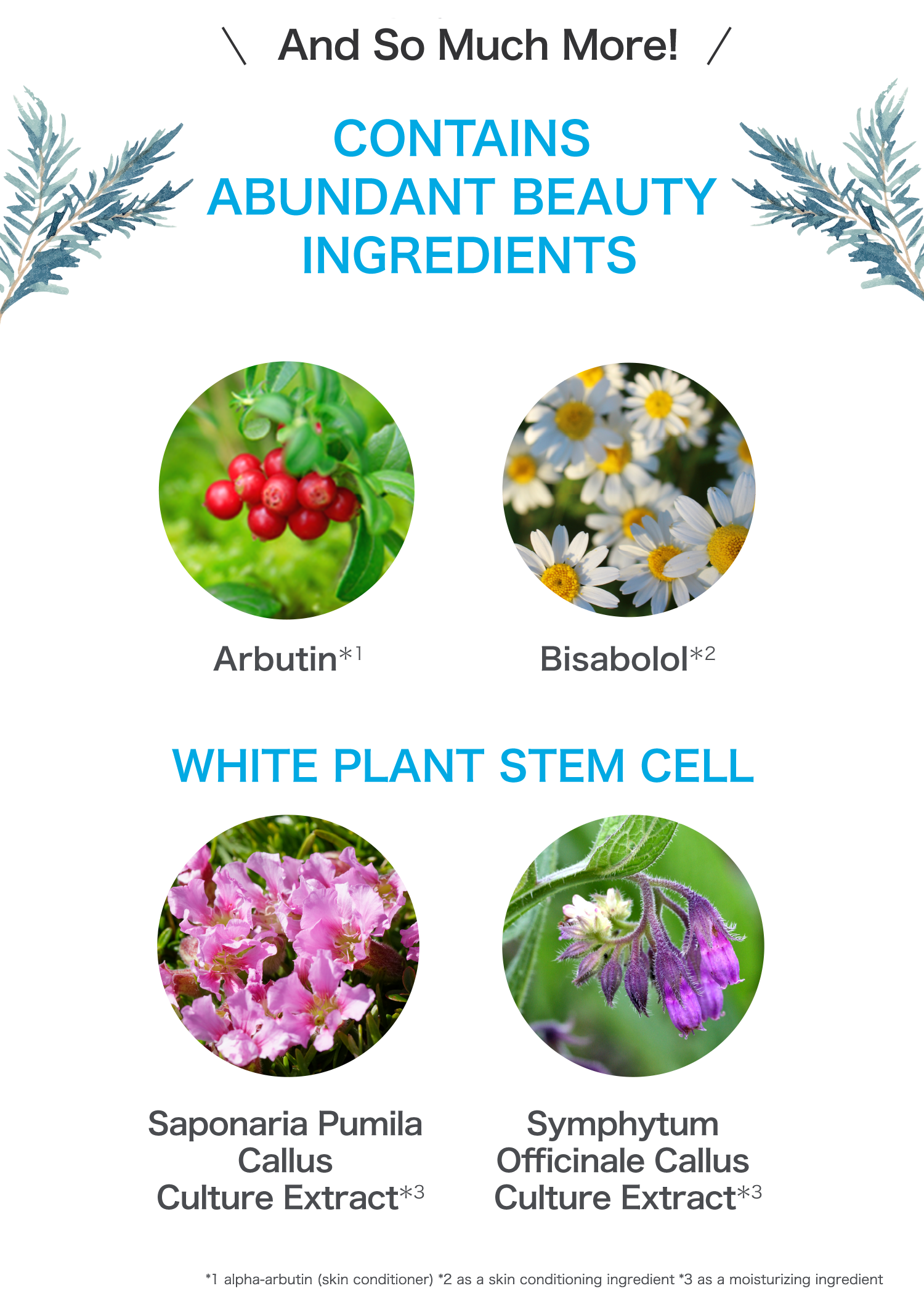 And So Much More! CONTAINS ABUNDANT BEAUTY INGREDIENTS