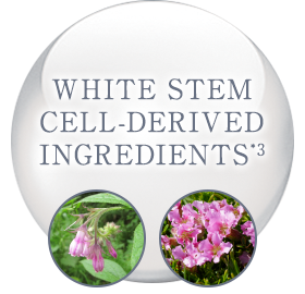 WHITE STEM CELL-DERIVED INGREDIENTS