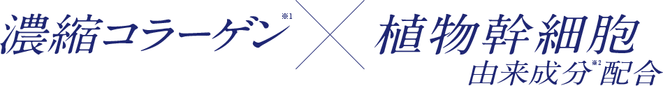 濃縮コラーゲン×植物幹細胞　由来成分配合