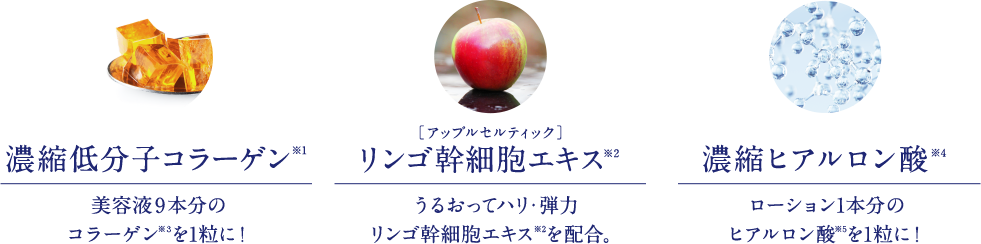 濃縮コラーゲン りんご幹細胞エキス 濃縮ヒアルロン酸