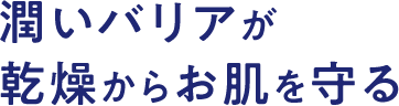 潤いバリアが乾燥からお肌を守る