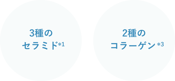 3種のセラミド＊１ 2種の
		  コラーゲン＊3