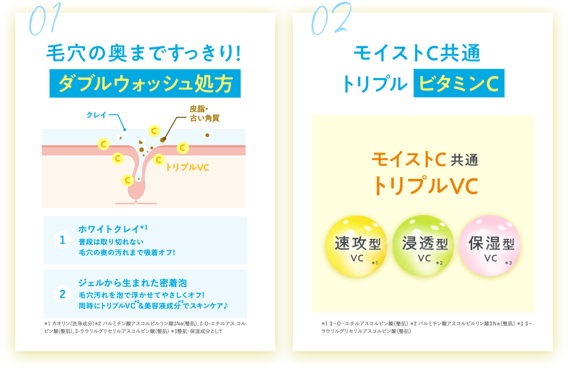 毛穴の奥まですっきり！ダブルウォッシュ処方 / モイストC共通 トリプルビタミンC