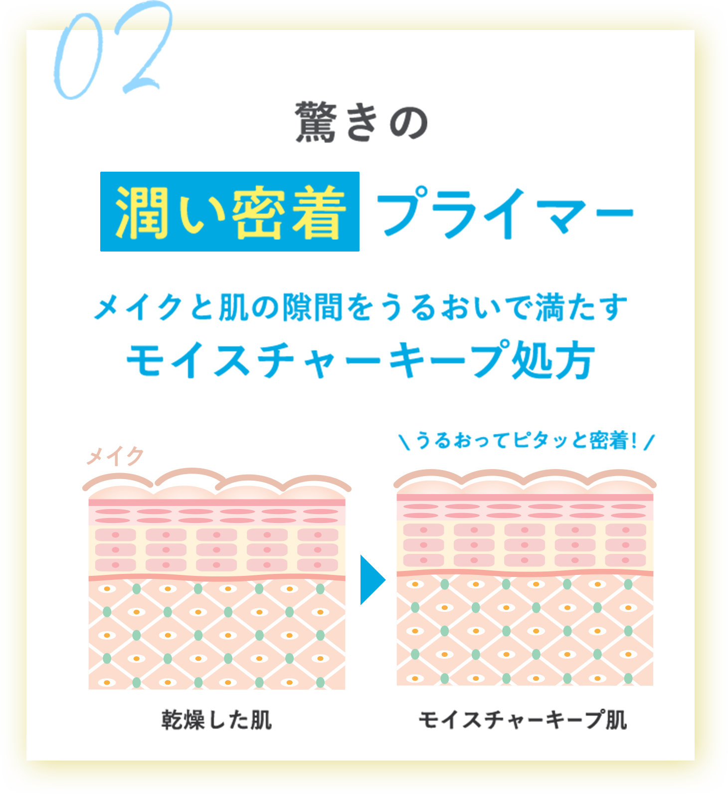 モイストローションと同じトリプルセラミド配合でしっかり保湿