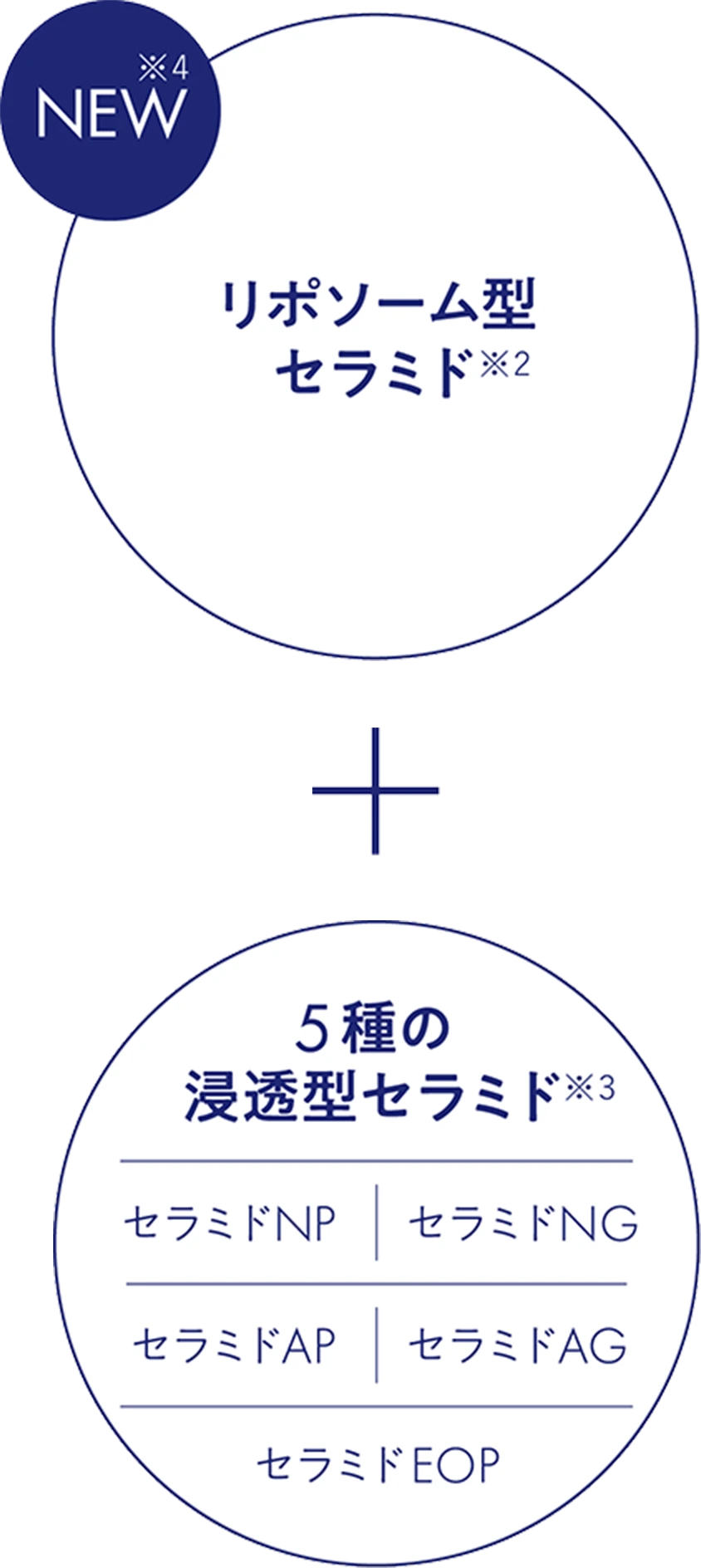 リポソーム型セラミド＋5種の浸透型セラミド