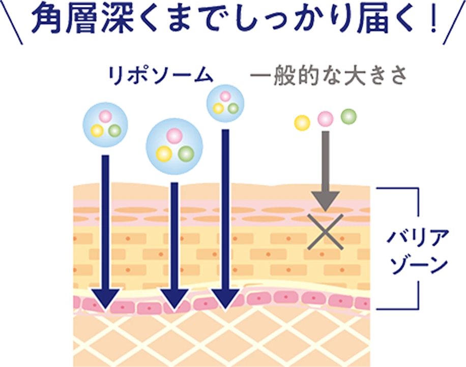 角層深くまでしっかり届く