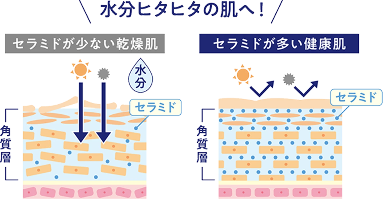 水分ヒタヒタの肌へ！