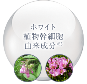 3種の保湿成分※2配合 エクトイン セラミド プロテオグリカン